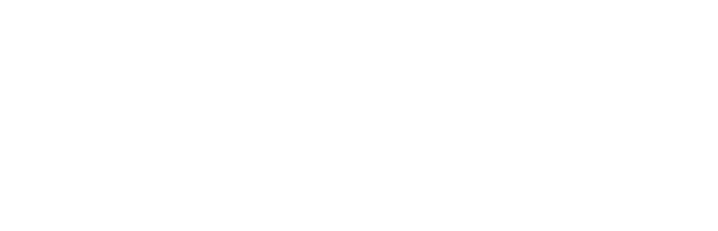 Logo FIT white