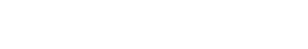 Logo Zirneer white